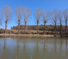 Wanderung &quot;Perspektivenwechsel&quot;